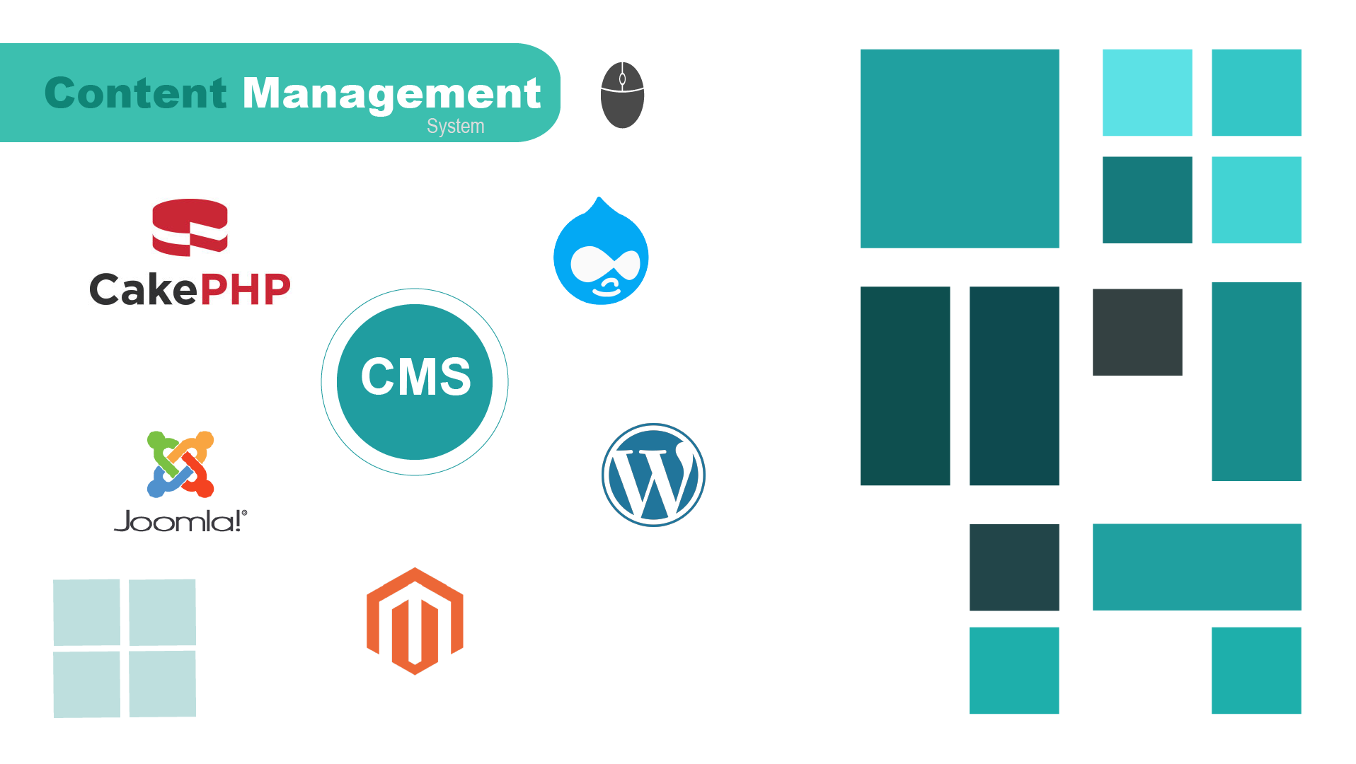 Content Management System (CMS)